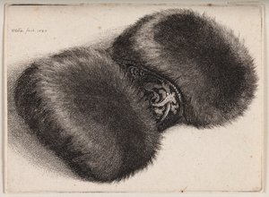  od Wenceslaus Hollar