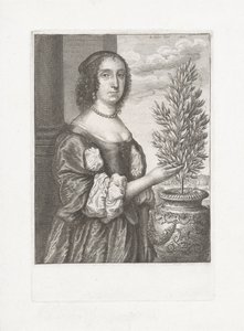 Portrét ženy stojící vedle vavřínové rostliny od Wenceslaus Hollar