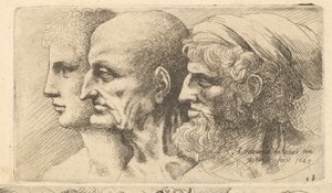Řada tří hlav z profilu vlevo, 1645. od Wenceslaus Hollar