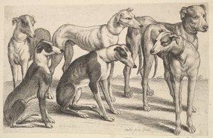 Šest honičů, 1646. od Wenceslaus Hollar