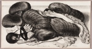 Zátiší se skupinou rukávů, párem rukavic a dvěma šátky od Wenceslaus Hollar