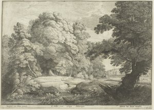 Most přes vodopád od Wenceslaus Hollar