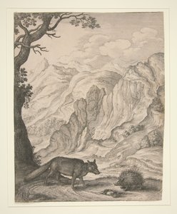  od Wenceslaus Hollar