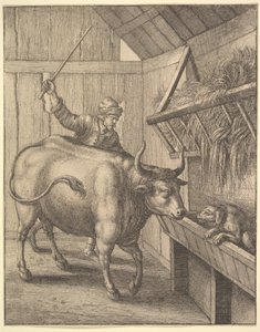 Pes v jeslích od ilustrace k Johnu Ogilbysovi Æsopics: Or A Second Collection..., 1666. od Wenceslaus Hollar