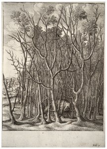 Liška a trnitý keř. stát 2 od Wenceslaus Hollar