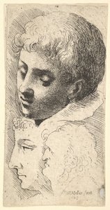 Tři hlavy, 1645. od Wenceslaus Hollar