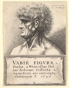 Titulní strana k Variety of Figures & Probes, 1645 od Wenceslaus Hollar
