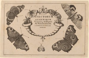 Titulní strana od Wenceslaus Hollar