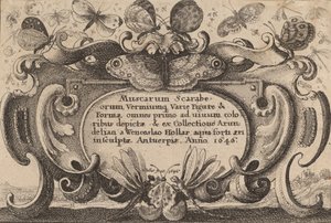 Titulní strana, 1646. od Wenceslaus Hollar