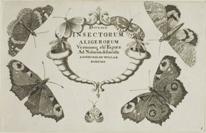 Titulní strana z Miscellaneous Insects od Wenceslaus Hollar