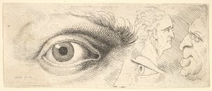 Dvě oči a dvě hlavy, 1644-52. od Wenceslaus Hollar