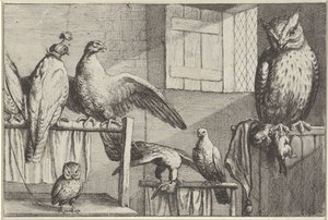 Sokoli a sovy ve stodole Druh Diversae avium (název série) Různí ptáci (název série) od Wenceslaus Hollar