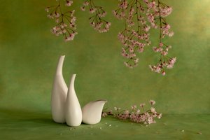  od Wendy Xu