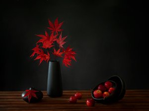  od Wendy Xu