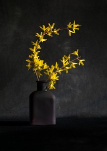  od Wendy Xu