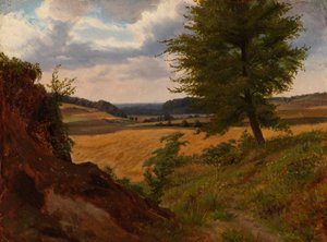 Strom v polní krajině, studie od Werner Holmberg