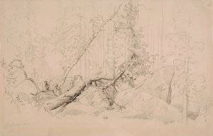  od Werner Holmberg