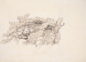 od Werner Holmberg