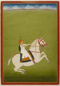 Mount Rajput, počátek 19. století (kvaš na papíře) od West Indian School