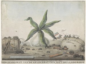 Karikatura o francouzských zvycích, 1813-1814 Shromáždění sklepa prohnilého s ředitelem (název na objektu) od Wijnand Esser