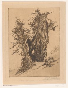 Dutý strom v Seelisberg ve Švýcarsku Hollow Tree (původní název)