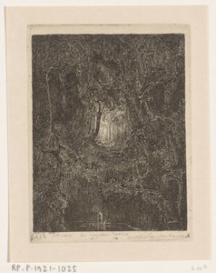 Džungle na Jávě Cesta lesem (původní název) od Wijnand Otto Jan Nieuwenkamp (signed by artist)