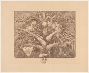 Vrchol kokosové palmy Tropenweelde (původní název na objektu) od Wijnand Otto Jan Nieuwenkamp (signed by artist)