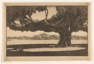 Waringin stromy v zahradě sultánova paláce v Jogyakartě The Great Tree (původní název)