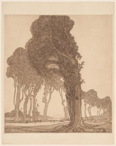 Část hlavní silnice u dessa Cakranegara (Tjakranegara) na Lomboku The Great Road (původní název) od Wijnand Otto Jan Nieuwenkamp
