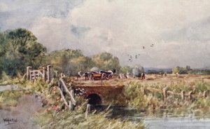 Senoseč (barevná litografie)