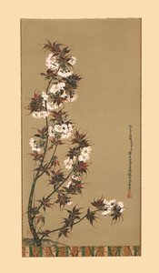 Cherry Blossoms of Mikawa, 19. století, 1886
