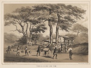 Tashan-di-sioo-co, Lev Chiu, 1855 (litografie) od Wilhelm Joseph Heine