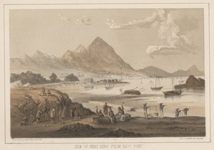 Pohled na Hong Kong z East Point, 1855 od Wilhelm Joseph Heine