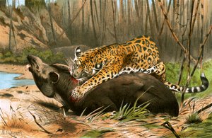 Jaguár zabíjející tapíra od Wilhelm Kuhnert