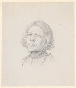 Portrét hlavy, švédský farmář od Wilhelm Marstrand