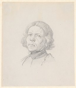 Portrét hlavy, švédský farmář od Wilhelm Marstrand