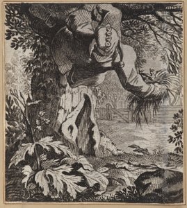 Odvážný blázen od Wilhelm Stettler
