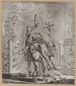 Neopatrný blázen od Wilhelm Stettler