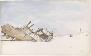 Vrak dřeva na pláži Renesse v Schouwen-Duiveland