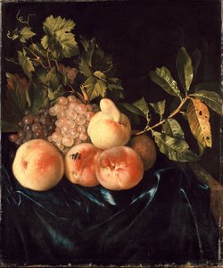 Zátiší broskví a hroznů, 1705 od Willem Frederiksz van Royen