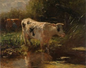 Kráva vedle příkopu Kráva na straně příkopu