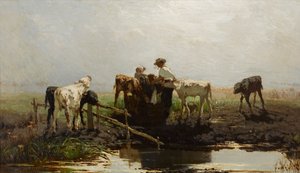 Holandsky: Telata u koryta Telata u koryta od Willem Maris