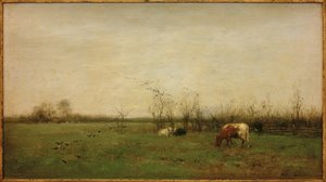 Pastvina krajina od Willem Maris