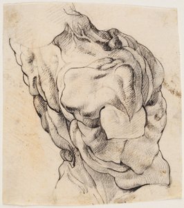 Anatomická studie (écorché). Torzo staženého muže viděné ze zadní poloviny otočené doprava od Willem Panneels