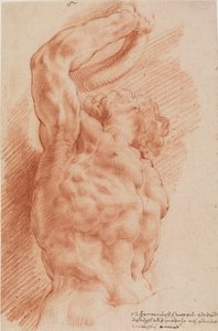 Laocoon. Laocoonovo torzo je vidět zespodu zprava. od Willem Panneels