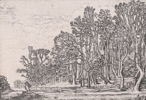 Dva živé ploty z prken, z Verscheyden Landtschapjes Různé malé krajiny, deska 6,..., ca. 1616.