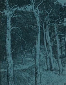 Woodland, c1912
