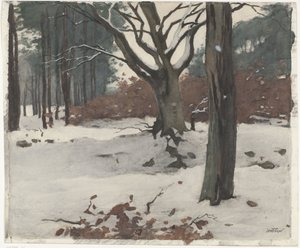 Stromy ve sněhu od Willem Arnoldus Witsen