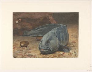 Wolffish na dně akvária od Willem Arnoldus Witsen