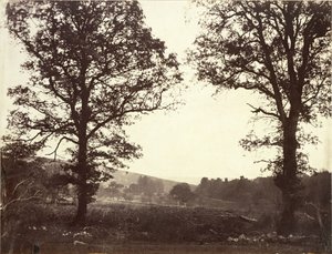 Krajina s jilmy, Ashdown, Velká Británie od William 2nd Earl of Craven